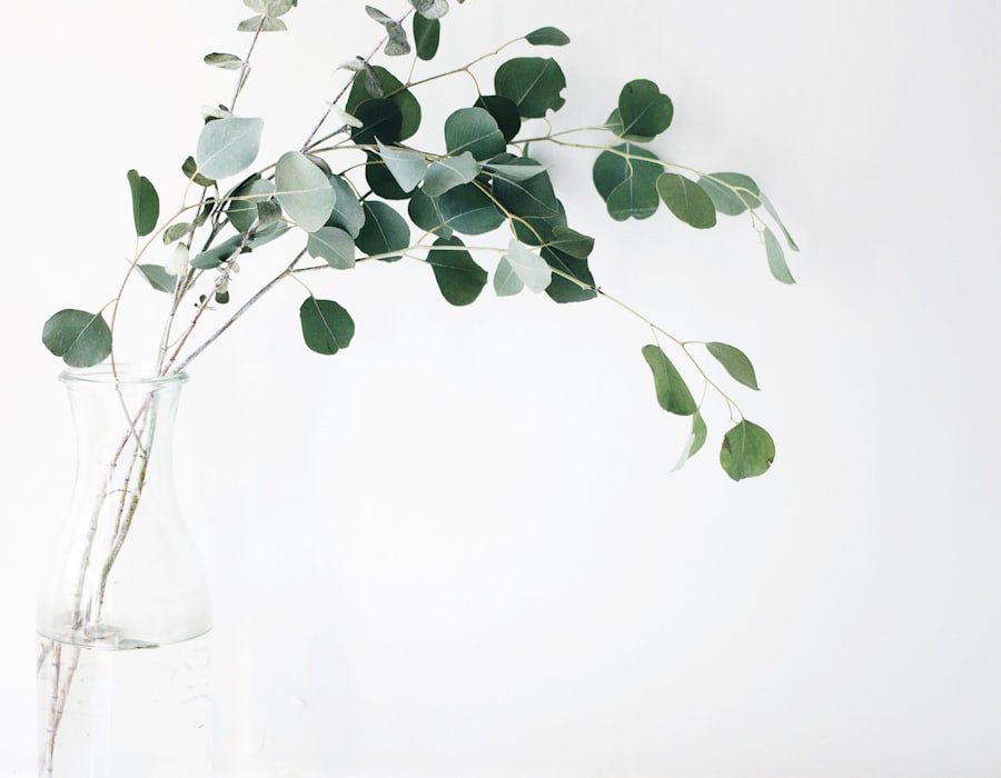 Chemical-free personal care